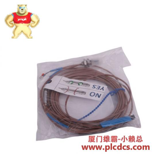 epro_pr6423_000-031_pr6423000031_plc.jpg EPRO PR6423/000-031 控制器MD Plus PLC模块