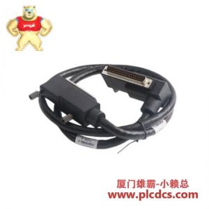 FOXBORO P0931RM 终端电缆