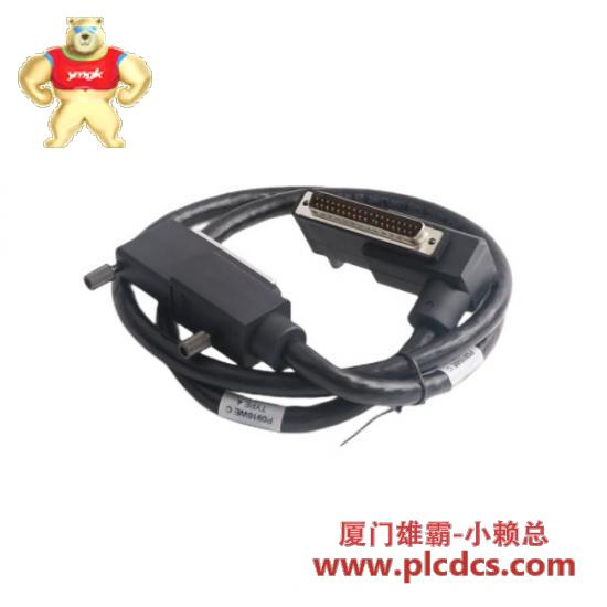 foxboro_p0931rm_term_cable.jpg FOXBORO P0931RM 终端电缆