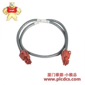 霍尼韦尔 51109516-200 PLC 控制模块