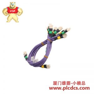 霍尼韦尔 51202971-112 连接电缆单元