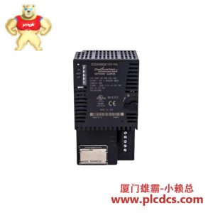 GE Fanuc IC200BEM003PROFIBUS-DP 主站模块