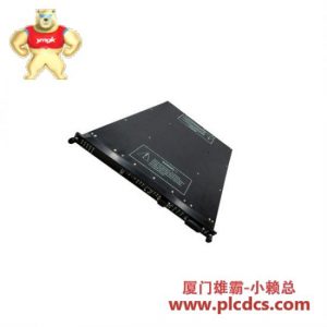 TRICONEX TRICONEX 4201 远程模块