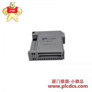 横河电机AAT141-S50 S2输入模块，适用于工业自动化控制系统